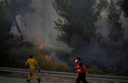 استمرار حرائق الغابات في إسرائيل ومصر والسلطة ترسلان مساعدات